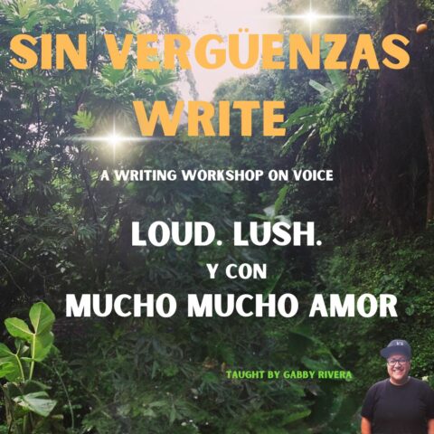Sin Verguenzas Write Course